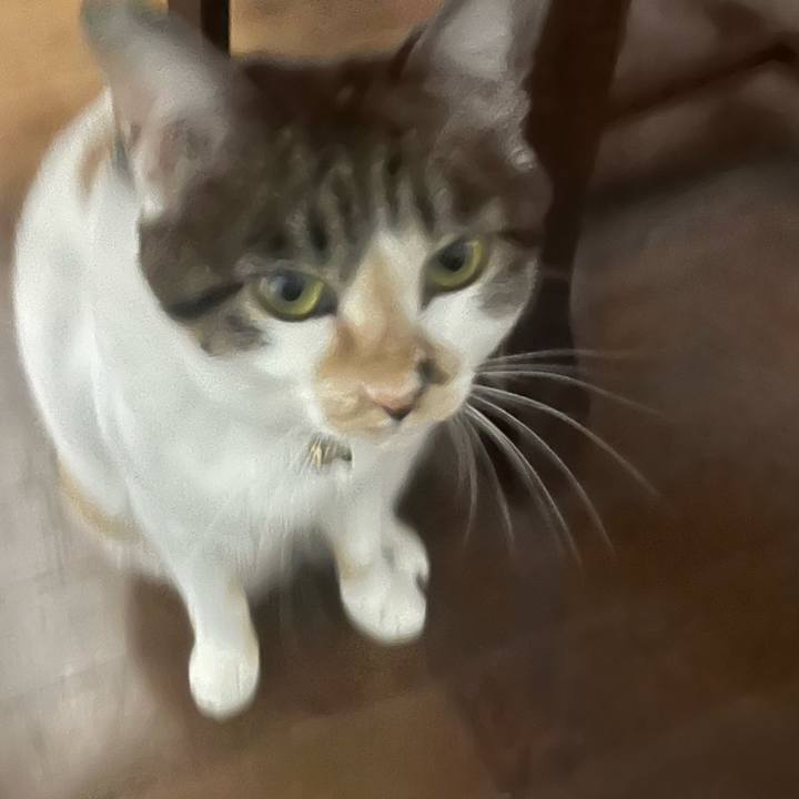 7e0dbbec 8b28 428f a1ab 63d69b7571ca 1760480011938