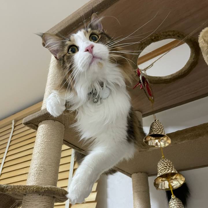 7e0dd499 25fb 4b1b 806d 28162633f69b 1669535692040