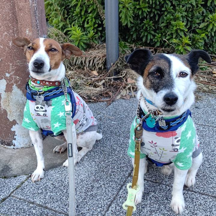 7e0defa9 ae79 48f8 b35f edb6d9d903e8 1636156023922