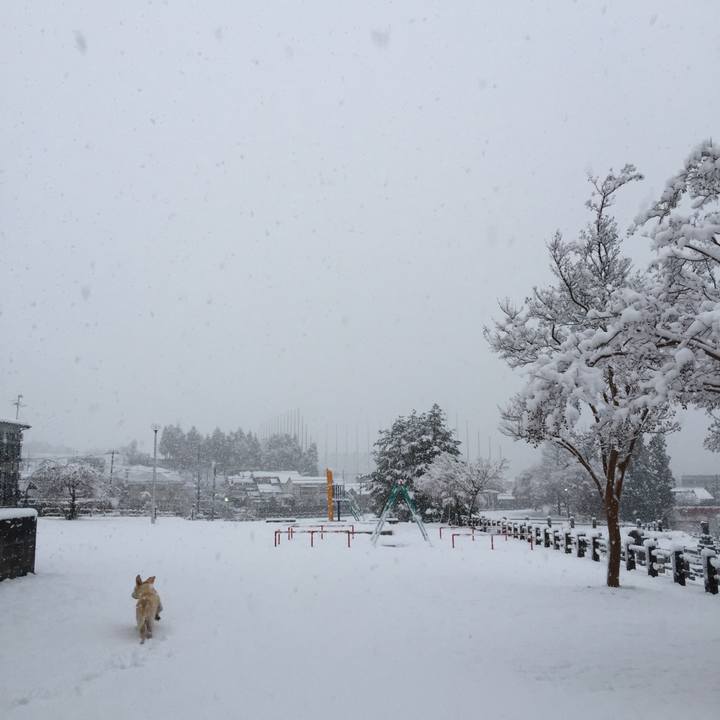 7e0e0b76 70df 4099 bbd7 0f2cca5fc7f0 1512512467241