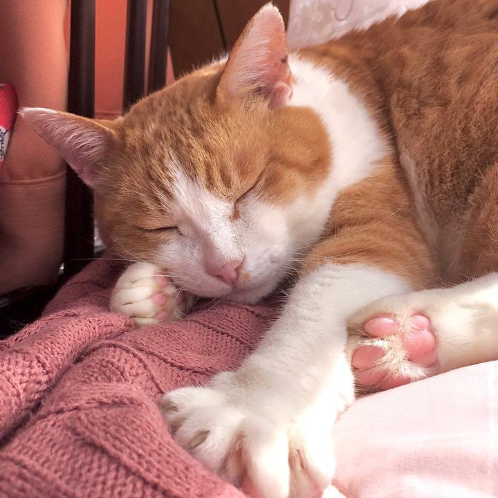 7e0e1982 ddfb 4b61 bde6 7fdabd7e25ac 1583466157455