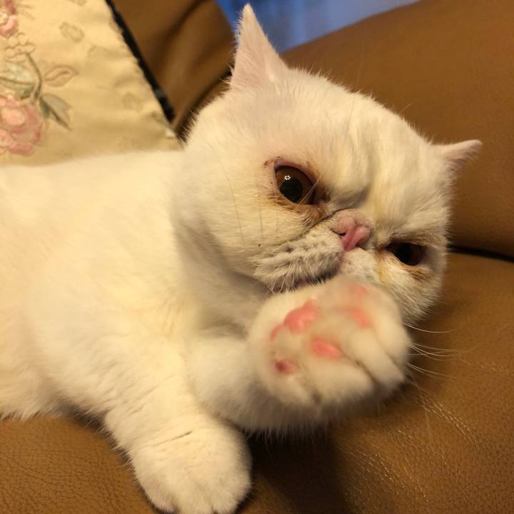 7e0e1ee7 3a1b 4c4a a00b 3304396b1a3e 1605177221544