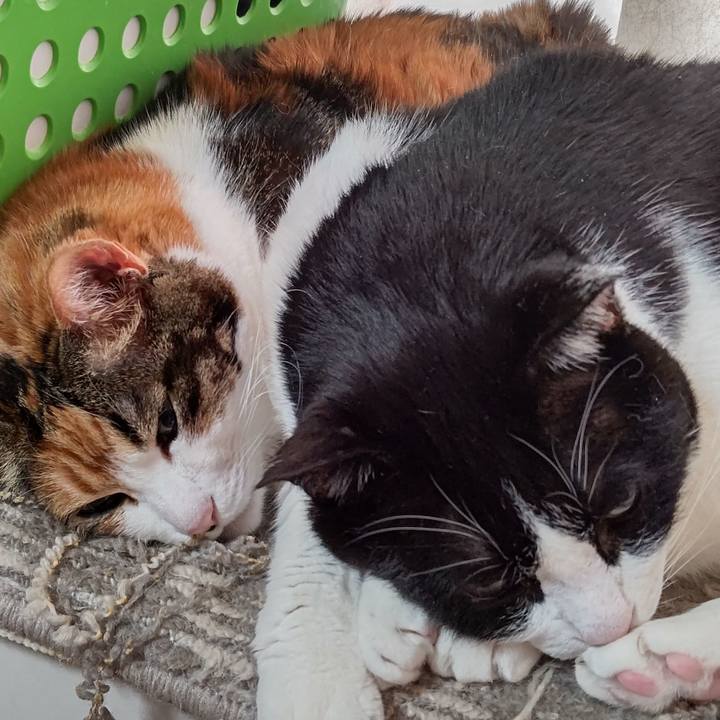 7e0e3051 855a 4a64 bc19 dfc0f8af5fad 1613906401845