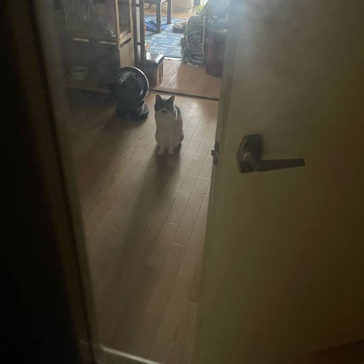 7e0e33e3 995b 4eca bb94 f374b873e7db 1723532730627