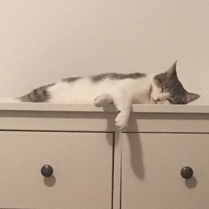 7e0e403f e6ac 495f 8a3c 5e359895b287 1656636952147