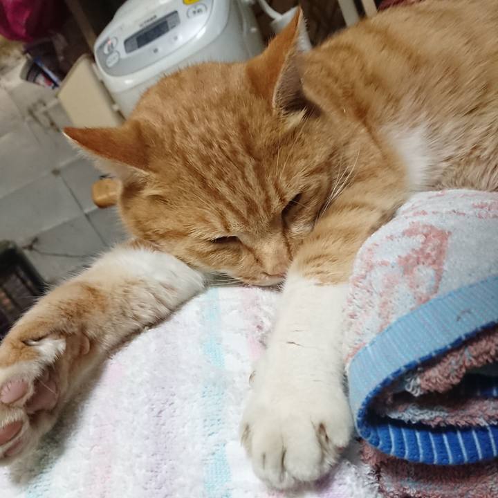 7e0e78a1 a418 4d4e a23d 7af7b6659444 1607681414223