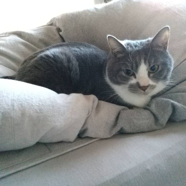 7e0ebcdd 36eb 4f0f 826a 7c80969aa507 1646603679123