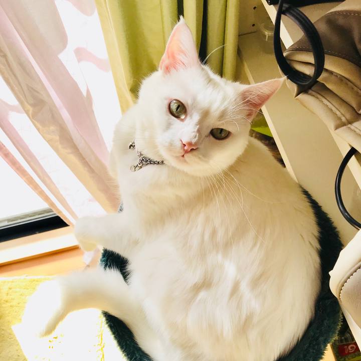 7e0ecf6c 6b73 41db b025 6d419b3c2a4a 1510537087898