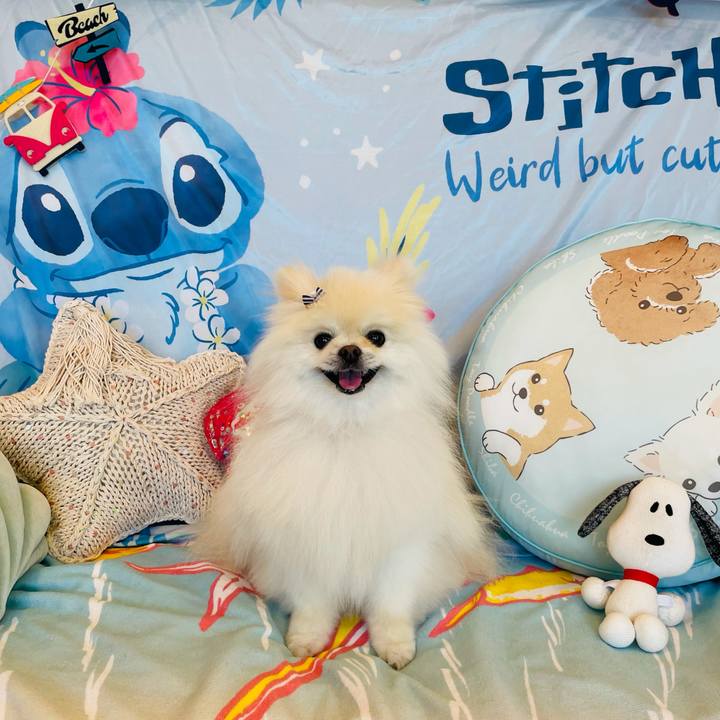 7e0eda1f 6880 4350 a7d4 1d9d1c319eb6 1626673243728