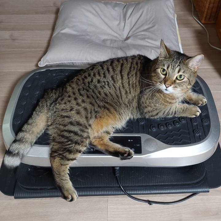 7e0ef3b3 9adb 4011 b1ee 1967a6632a4f 1636065720565