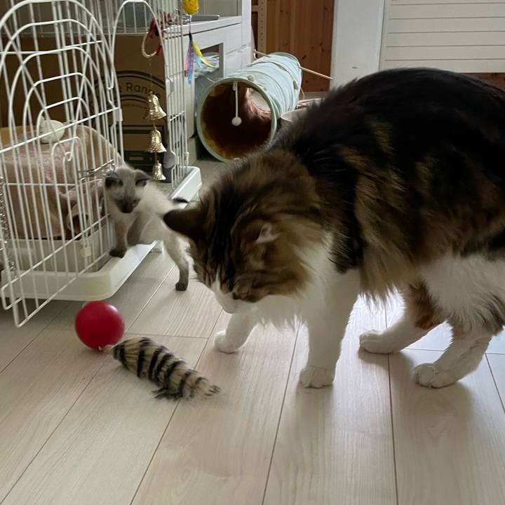 7e0eff1e ff7b 4c8e abf7 2e970c7248b3 1686780103391