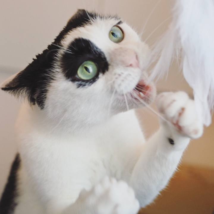 7e0f3417 ec9e 4587 a97c 81c2812fea28 1581224907399