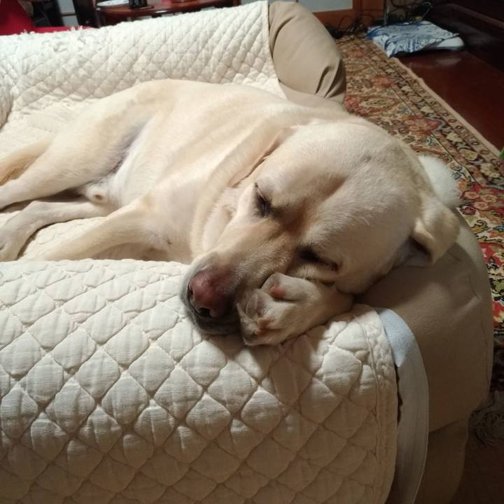 7e0f52b9 2bd5 4daa 90ac bbfbfba63651 1626273150212