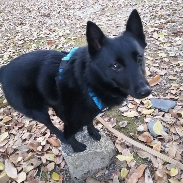 7e0f8c46 ae8b 4731 9948 50c7f5dab873 1639208042559