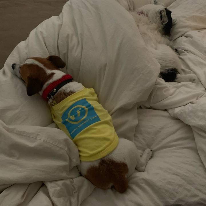 7e0f8e52 bf19 4886 8861 41c470e913cc 1557153935810