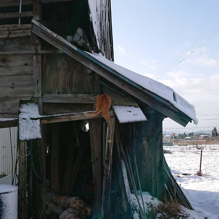 7e0f8f0f 3734 41cf 84ef bd831f37fc6c 1582500810731