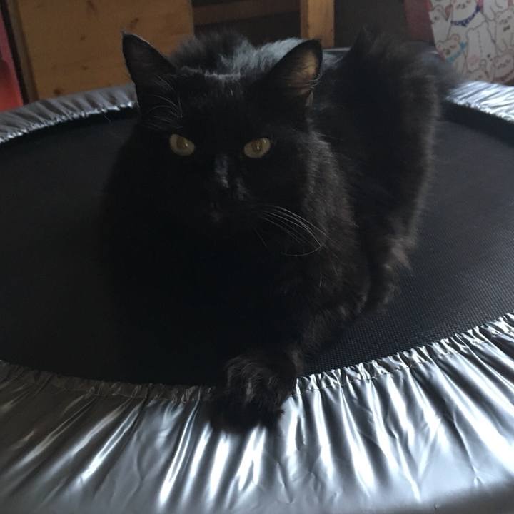 7e0fcda6 e8c1 44a8 b2dd 05ae43b35727 1535940630900