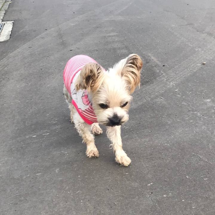 7e0fff7e 27ba 41e3 861d 26ea9a57a27f 1566808402453