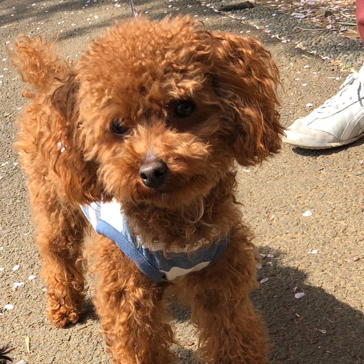 7e100c8b d6fc 4266 a4c1 f796626c84ea 1522622117259