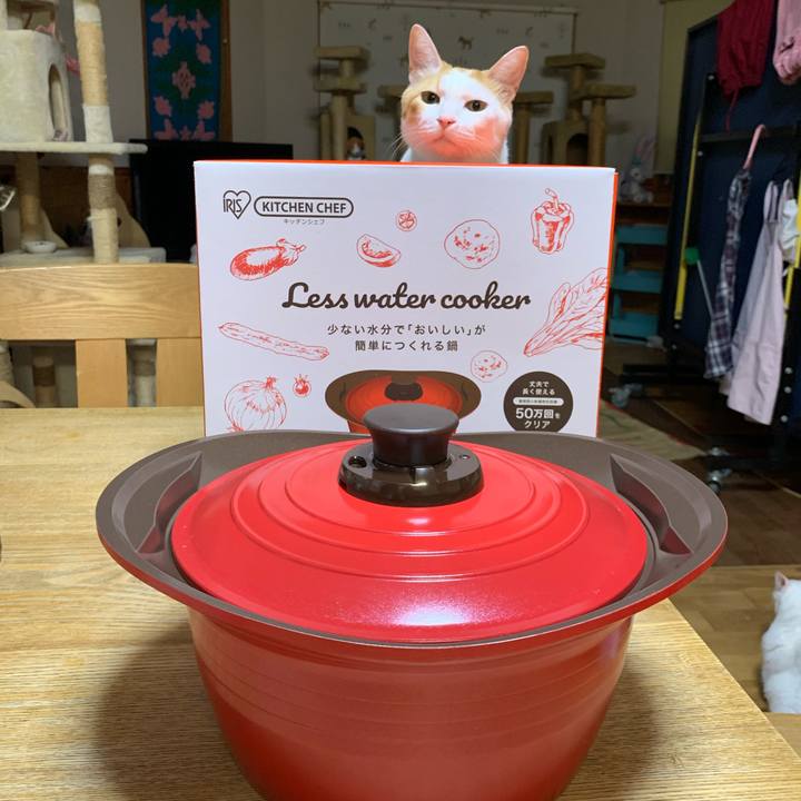 7e1034b1 fdfd 4d0d 9feb ae9d79f2eae5 1602071410336