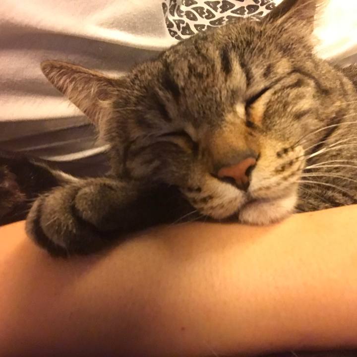 7e107428 75c0 4121 9765 65075d47e02a 1557495206287