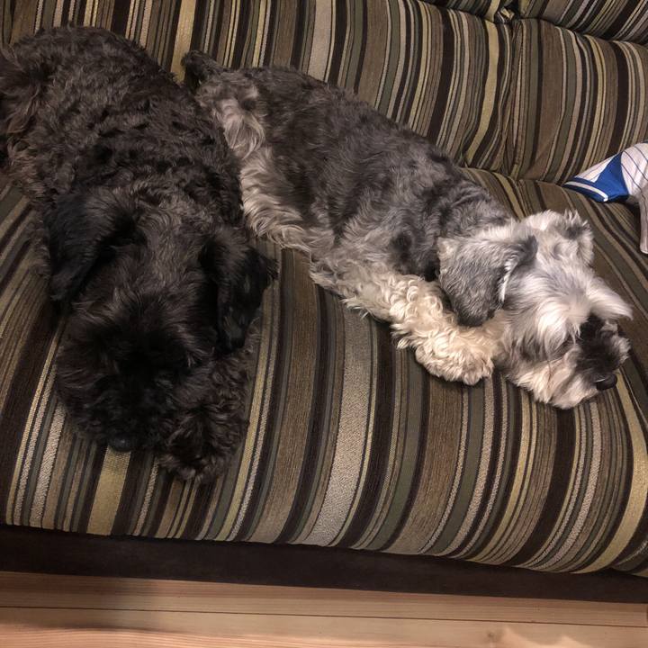 7e10754a e2f1 4d8b b806 ffe159de0eaf 1561075916740