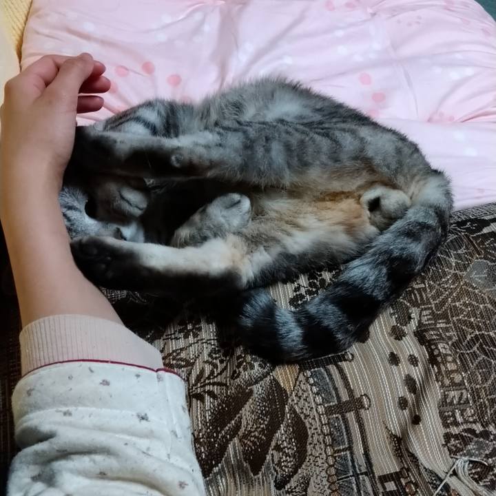 7e1087a5 eea6 4961 a7cd 0a342df7f724 1617459674124