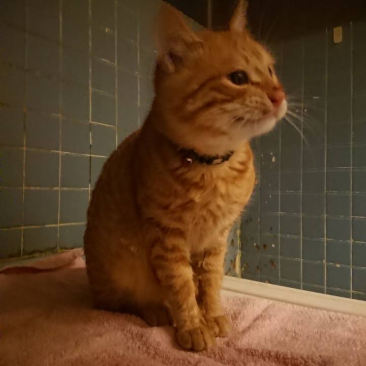 7e10bc8f c6dd 42f6 ac9f 9de8d447372f 1640174344614