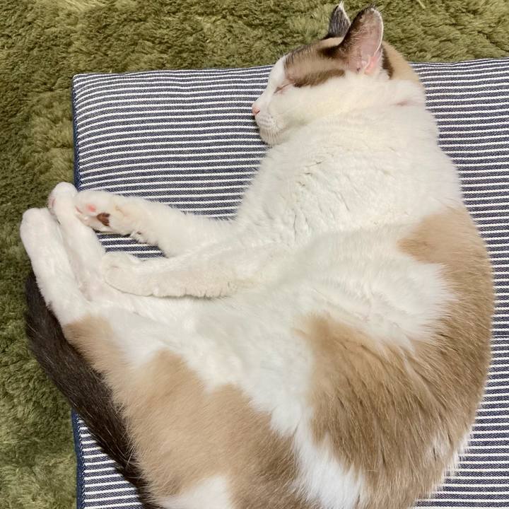 7e10e49b b295 41e0 8c7e 2e09a94fbd4f 1663468930409