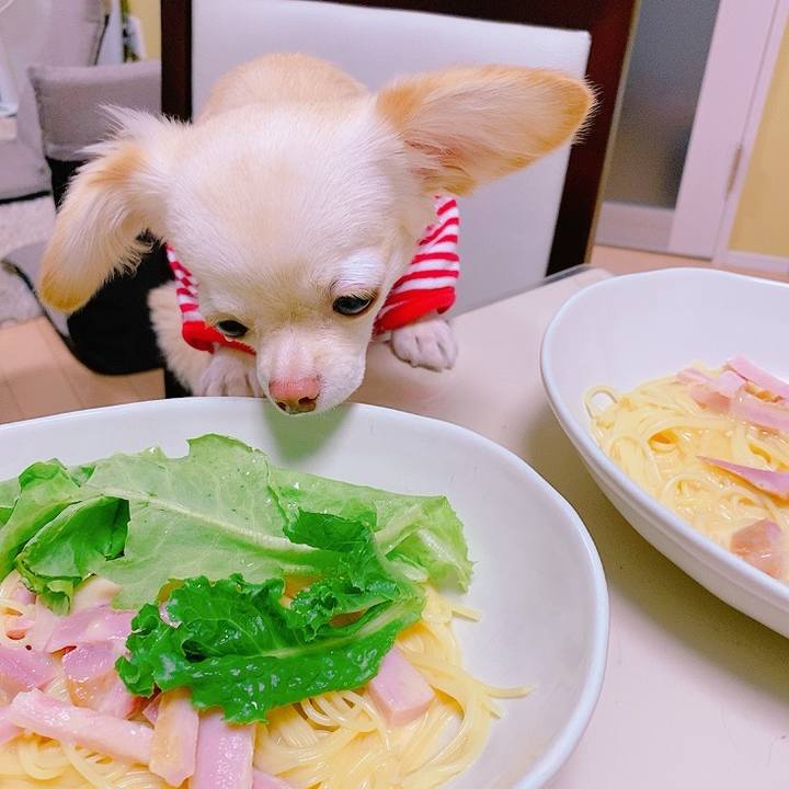 7e10fa6f 55f7 4946 94f9 c5b464a9306d 1628829311329