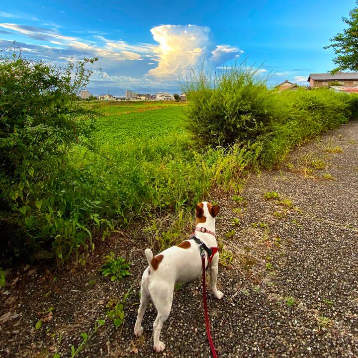 7e1146ba 6680 4905 bbd8 618d97efec5c 1598528341302