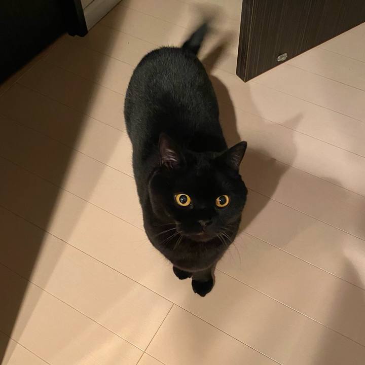 7e1170e6 1d15 45f5 bdcc c937e7d0221a 1737628663894