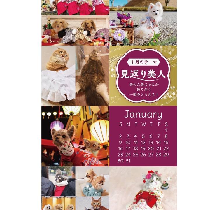 7e117d73 0f07 49be a6fb 67eeceeba862 1641252166101