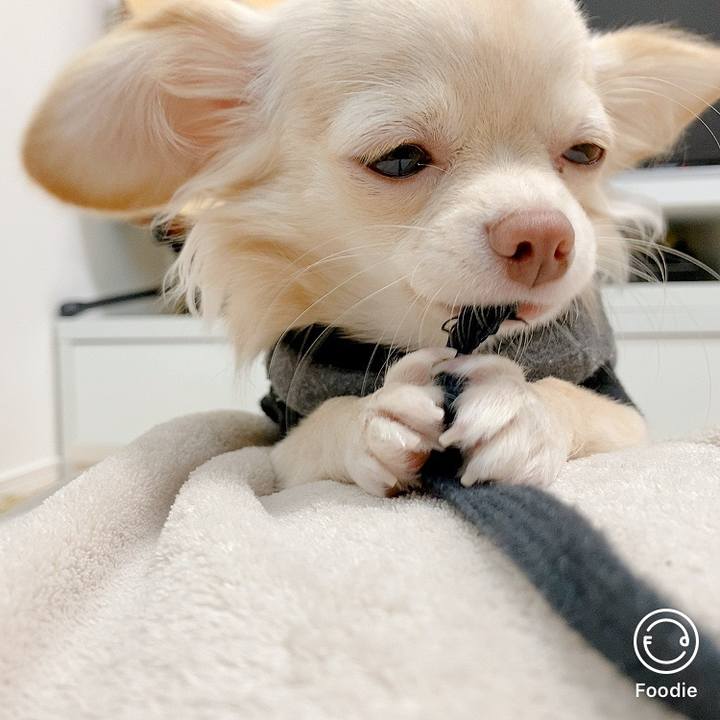 7e119011 1ddd 4575 81d0 51bf9c61a85b 1603091407599