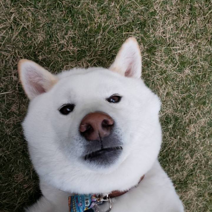 7e11bd3e f313 4c41 9981 bf12692b1e14 1547217486827