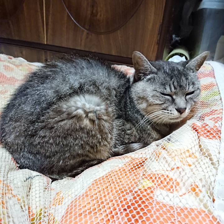 7e11de93 dc0a 494e 81d2 45b18f7745fb 1570190432694