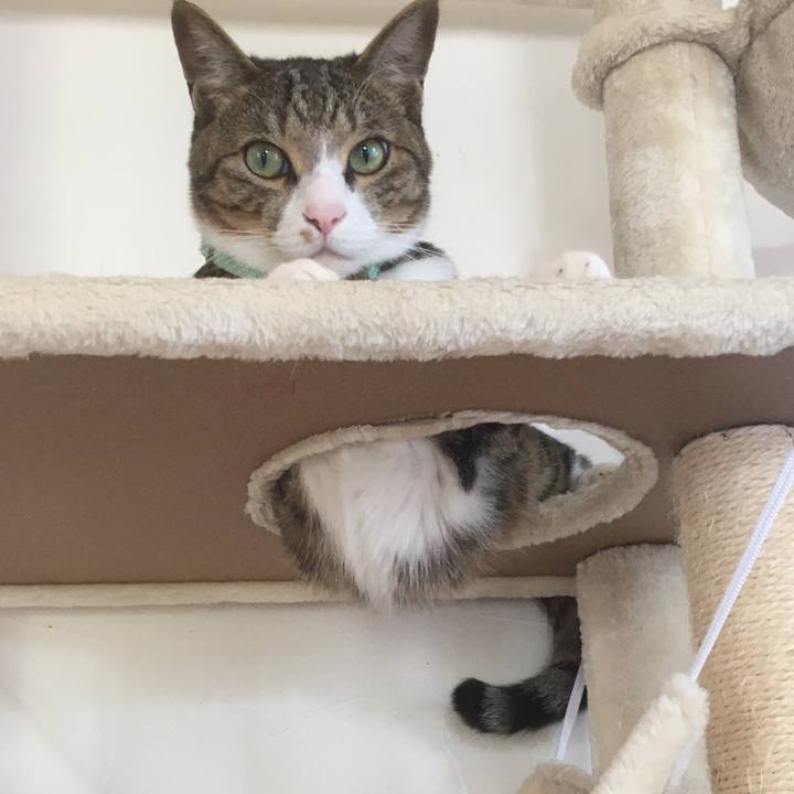 7e11e165 1feb 463a b5d2 a967180aba8e 1698297541891