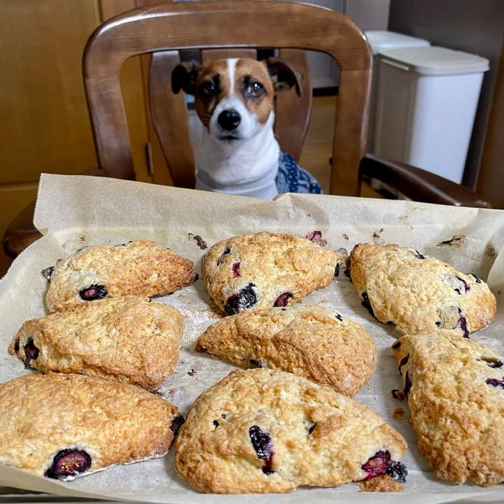 7e1204f6 211c 4627 b674 7fbc2613f1fc 1657601397863