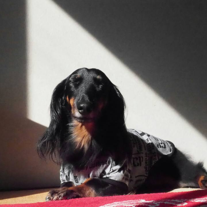 7e122752 7e6c 4ade bbcd 6eab25bc8d01 1540429768358