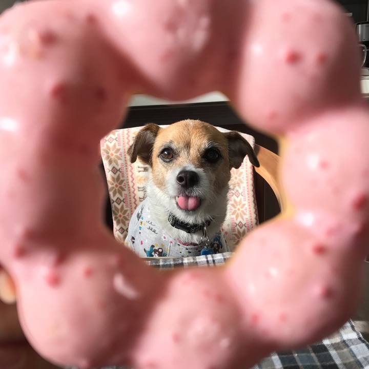 7e122e5f 0a40 476f 8f54 90650e282434 1548136055515