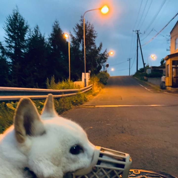 7e124c15 cd3b 46c8 a972 83c5a388304c 1627847488086