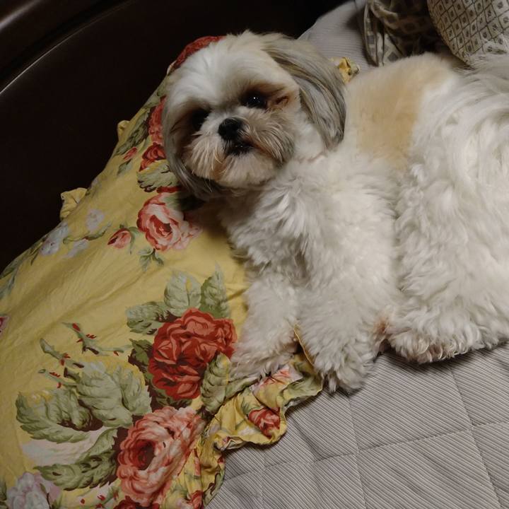 7e125bed f0e0 476c ab45 6cd753a37f63 1621259971198