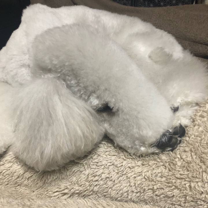 7e129923 b9ba 4d9f b680 ea5beb599135 1670751118532