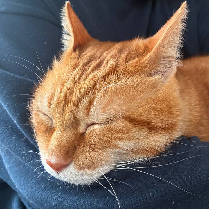 7e12aefe 5160 42eb 8336 e2c6090ba029 1763419698506