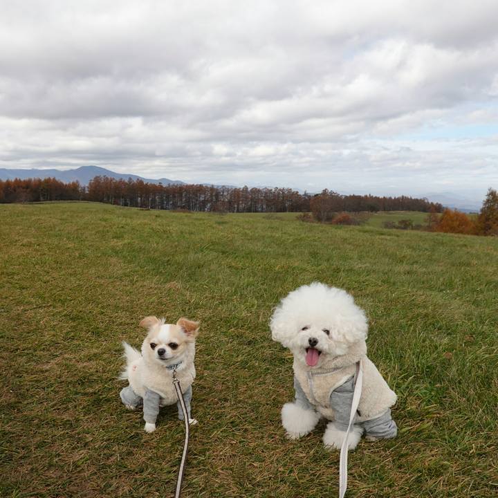 7e12d9ea f0c7 48e7 bce7 76b8a8c0cf1f 1541866343224