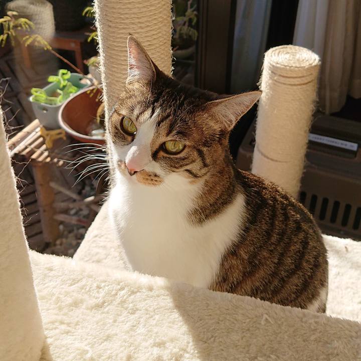 7e12e8a6 2410 4c83 8cf1 21a7757a513c 1582896396997