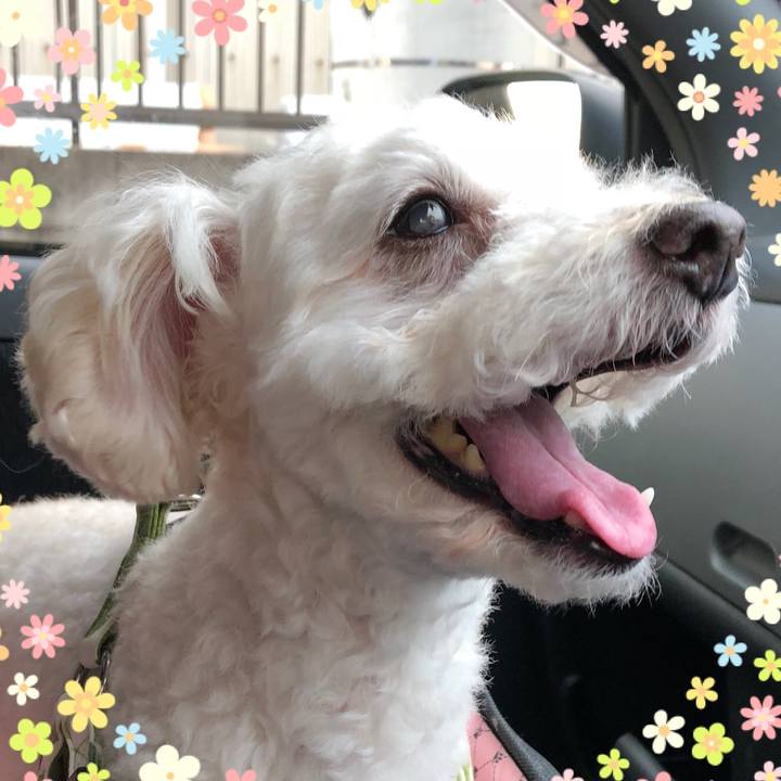 7e130d10 c94f 4b9b bda0 fdb917bb9411 1532087305834