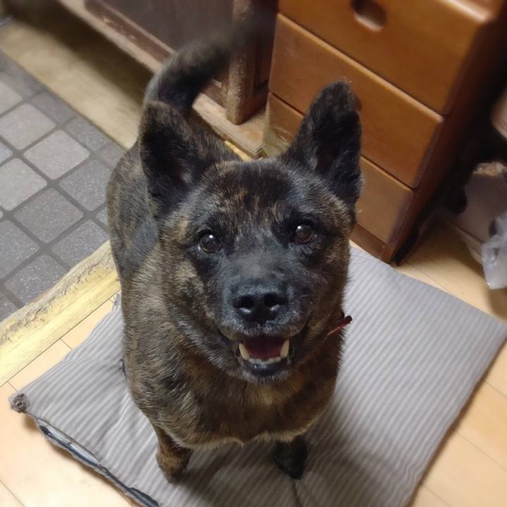 7e134254 6466 46fa a9a4 d28ddb2f5c52 1540042394830