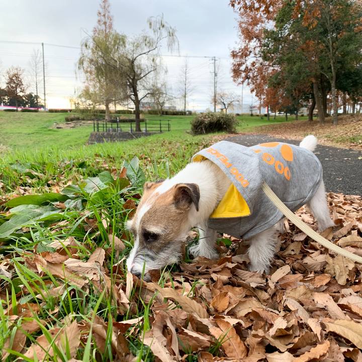 7e13abf9 b83c 481b a63a f33fb3e0c42a 1576238118071