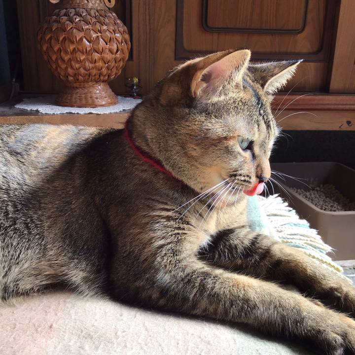 7e14250d 3081 4dc4 af6e bcd59fc85092 1603593026183